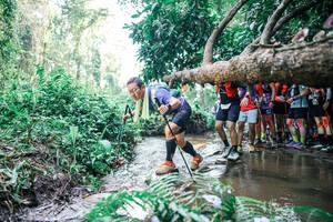 BIB: 
                            <button type="button" onclick="openModal(25466552)" class="btn btn-primary btn-sm float-right btn-popup" data-toggle="modal" data-target=".modal-high-quality">
                        <i class="fas fa-shopping-cart"></i> Add to Cart
                    </button>
                                            <button type="button" onclick="isThisMe(25466552, true)" class="btn btn-success btn-sm float-right btn-popup btn-isme hidden" data-toggle="tooltip" data-placement="bottom" title="นี่คือรูปของคุณใช่ไหม คลิกที่นี่เพื่อเอาเข้าอัลบั้ม">
                        <i class="fas fa-plus"></i> Add to album
                    </button>
                    <button type="button" onclick="isThisMe(25466552, false)" class="btn btn-warning btn-sm float-right btn-popup btn-isnotme hidden">
                        <i class="fas fa-ban"></i> Remove from album
                    </button>